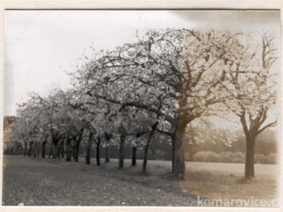 Foto z kroniky 1960 - 1979