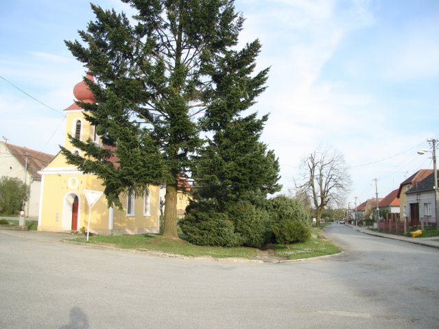 Obec Komárovice