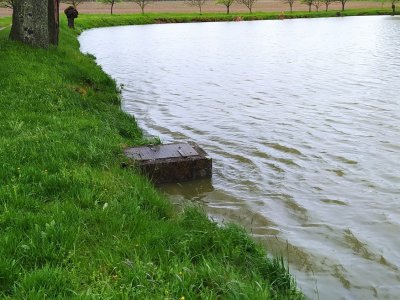 KVĚTNOVÝ DÉŠŤ - 62 mm