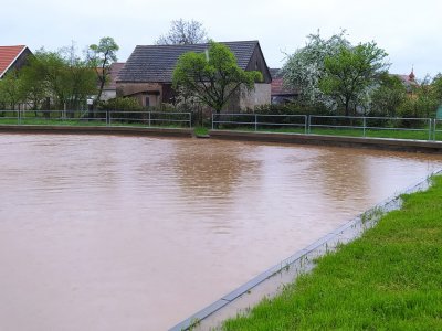 KVĚTNOVÝ DÉŠŤ - 62 mm