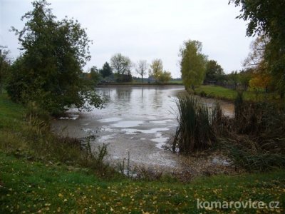 Výlov rybníku