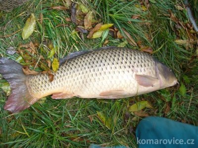RYBÁŘSKÝ SPOLEK