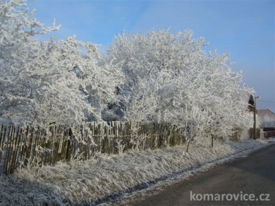 ZIMA V KOMÁROVICÍCH 2007
