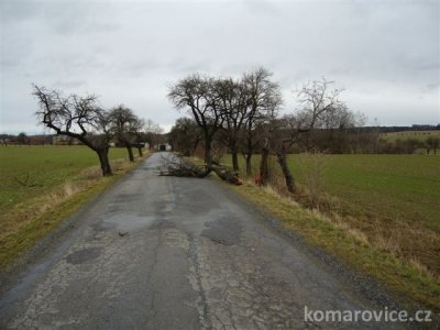 ROK - 2008