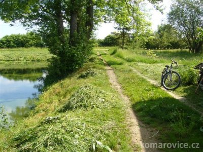 Sečení před závody