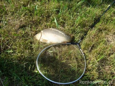ROK - 2008
