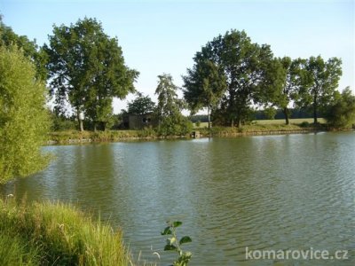 ODBAHNĚNÍ RYBNÍKA