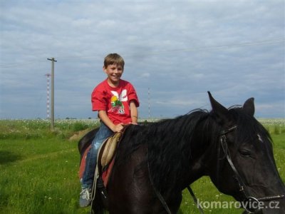 Dětský den s koněm