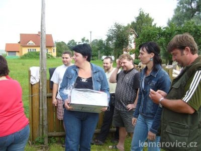 Dětský den s koněm