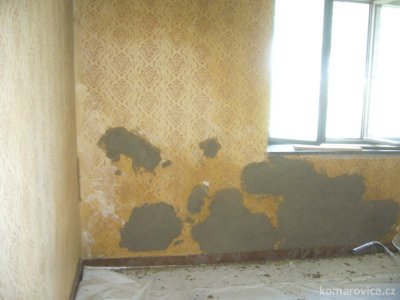 Oprava sokolovny a přísálí